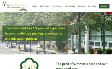 treesny.org screenshot
