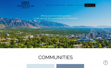tridestin.com screenshot