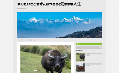 tryeverything.jp screenshot
