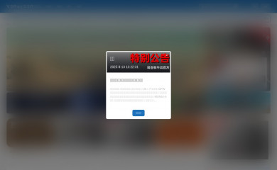 v2rayssr.com screenshot