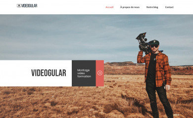 videogular.com screenshot