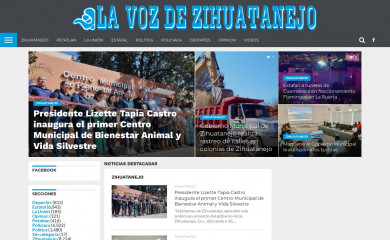 vozihuatanejo.com.mx screenshot