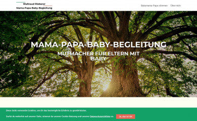 waltraudrieberer.at screenshot