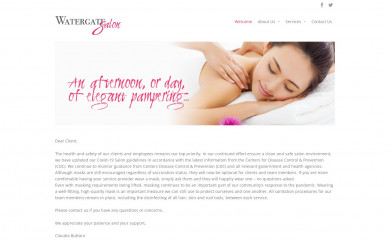 watergatesalon.com screenshot