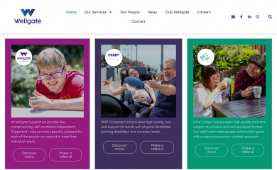 wellgatecare.com screenshot