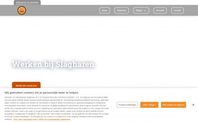 werkenbijslagharen.com screenshot