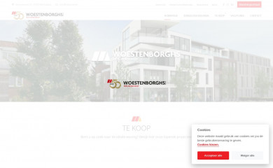 woestenborghs-bouwbedrijf.be screenshot