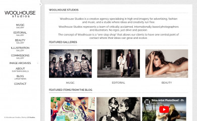 woolhousestudios.co.uk screenshot