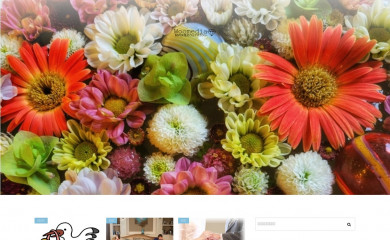 woomedia.jp screenshot
