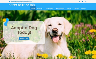 yappyeverafter.org.uk screenshot