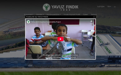 yavuzhazelnut.com screenshot