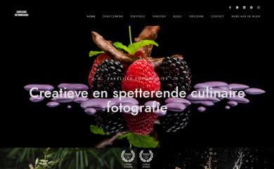 zakelijkefotomissies.nl screenshot