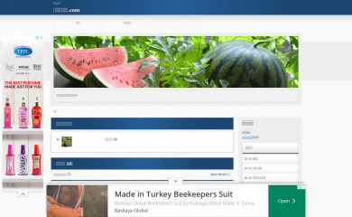 スイカの育て方.com screenshot