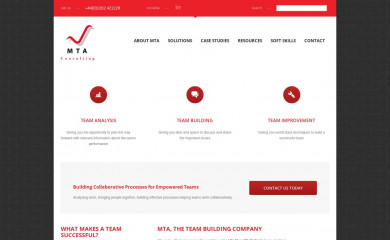 mtaconsulting.com screenshot