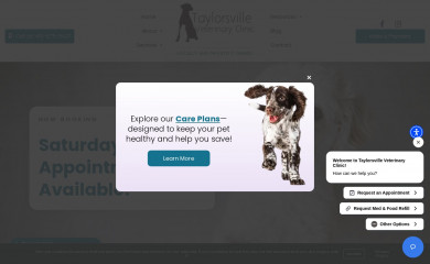 mtairyvets.com screenshot