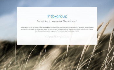 mtb-group.dk screenshot