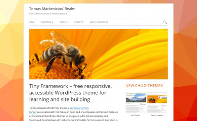 Tiny Framework Child Example screenshot