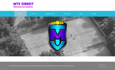 mtv-einheit.de screenshot
