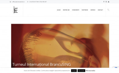 musicarte.ro screenshot