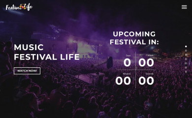 musicfestconnect.com screenshot