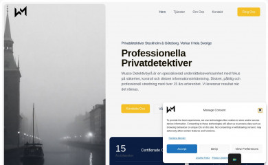 mussodetektiv.se screenshot