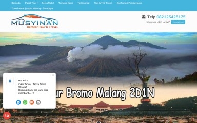 musyinantourtravel.com screenshot