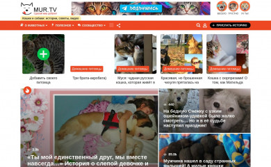 mur.tv screenshot