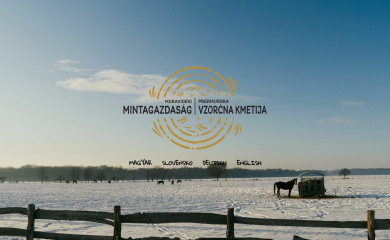 muravidek.com screenshot