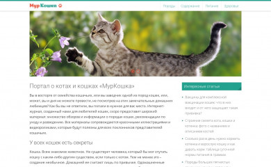 murkoshka.ru screenshot