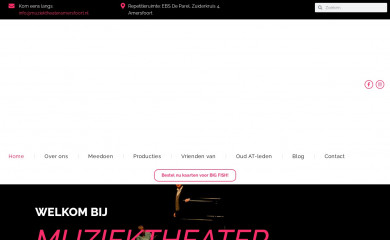 muziektheateramersfoort.nl screenshot