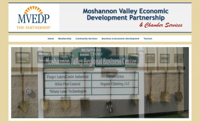 mvedp.org screenshot
