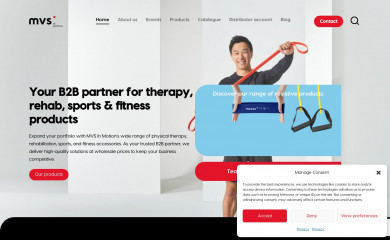 mvs-in-motion.com screenshot