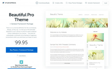 Beautiful Pro Theme screenshot