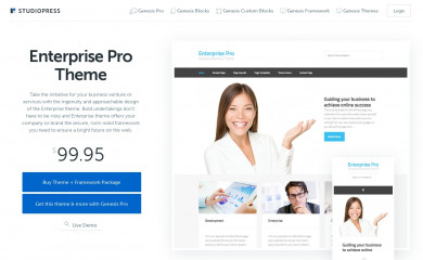 Enterprise Pro Theme screenshot