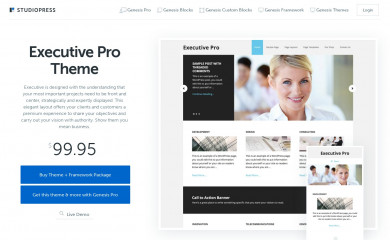 Executive Pro Theme screenshot