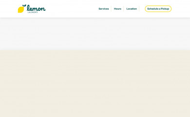 mylemonlaundry.com screenshot