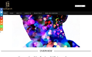 mylifespark.com screenshot