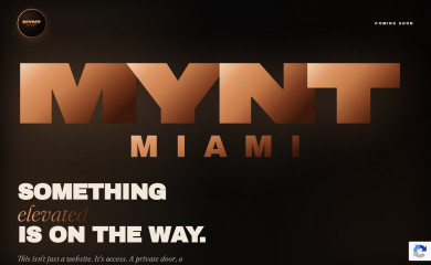 myntlounge.com screenshot