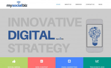 mysocialbiz.net screenshot