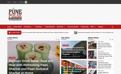 mypunepulse.com screenshot