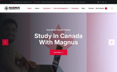 magnusimmigration.com screenshot