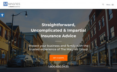 magnesgroup.com screenshot