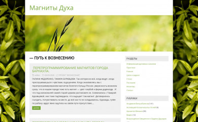 magnitiduha.info screenshot