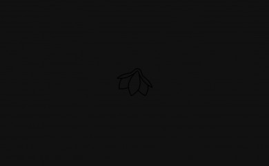 magnolija.lv screenshot