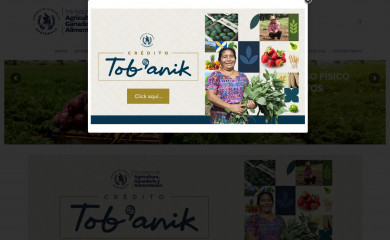 maga.gob.gt screenshot