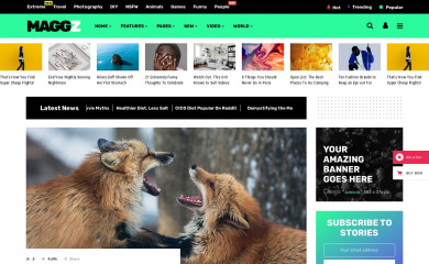 http://maggz.select-themes.com screenshot