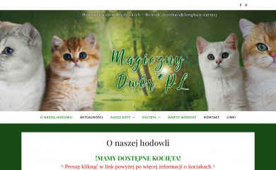 magiczny-dwor.pl screenshot