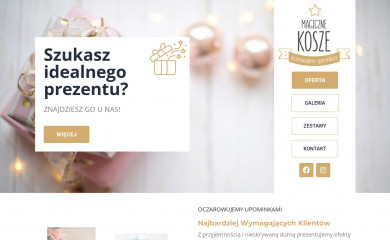 magiczne-kosze.pl screenshot