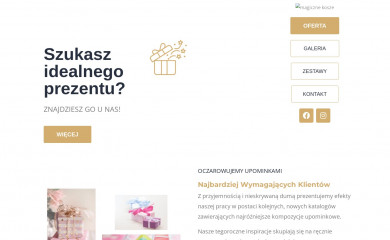 magiczne-kosze.pl screenshot
