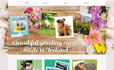 madeinireland.ie screenshot